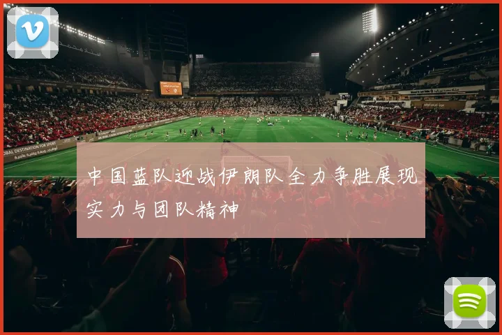 中国蓝队迎战伊朗队全力争胜展现实力与团队精神