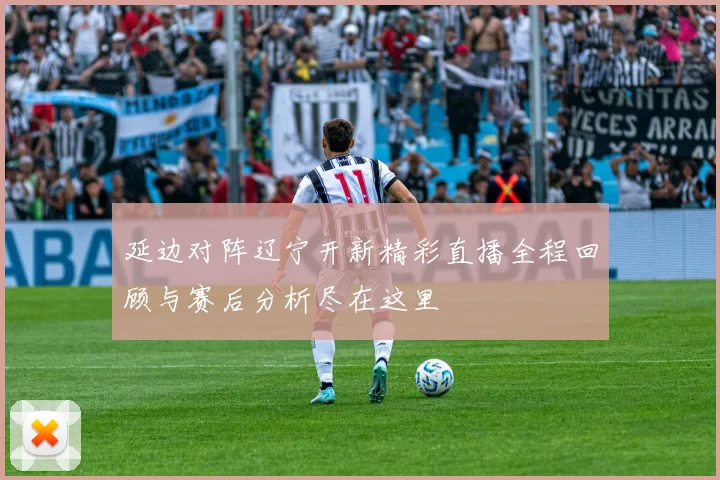 延边对阵辽宁开新精彩直播全程回顾与赛后分析尽在这里